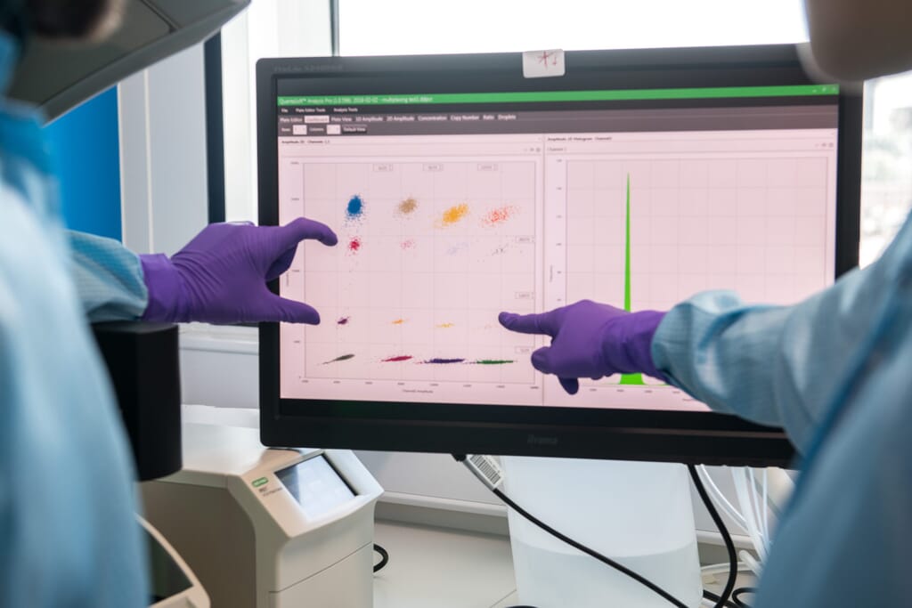 CGTCatapultApr18-182-scaled.jpg?w=1024&h=683&scale CGTCatapultApr18-182-scaled.jpg?w=1024&h=683&scale